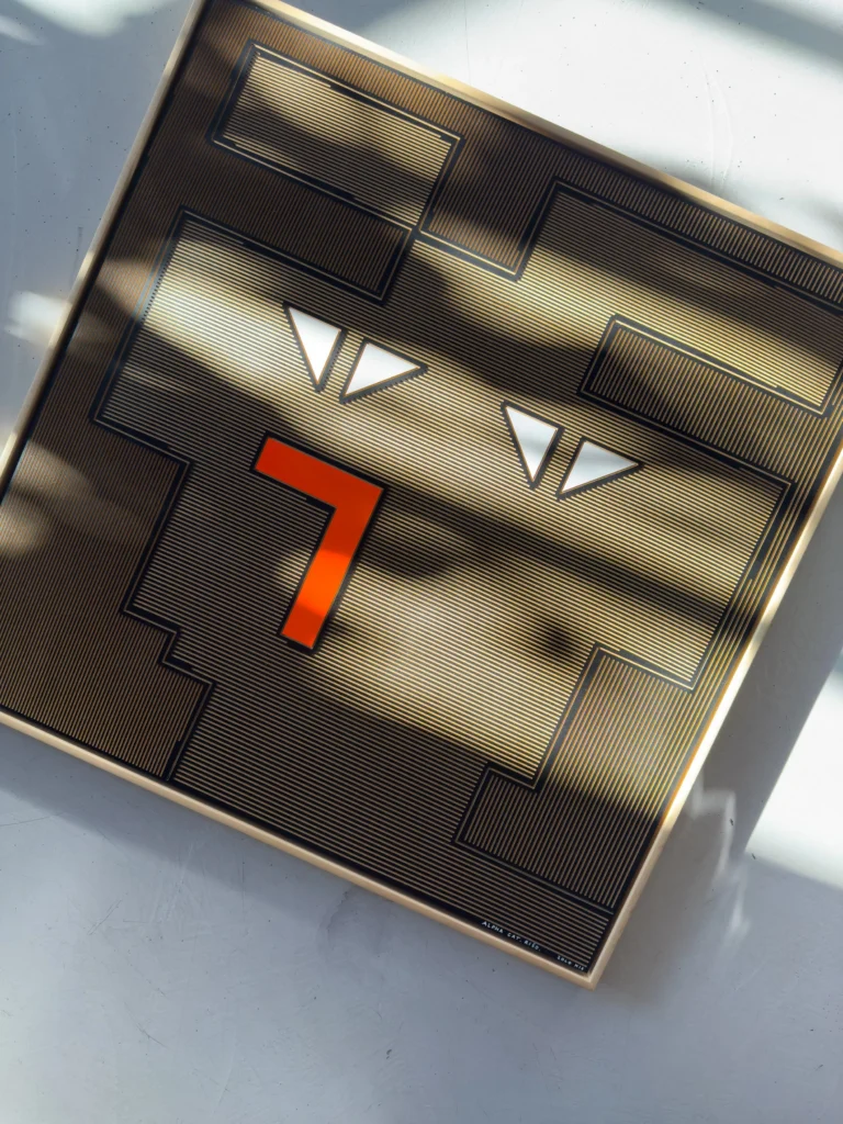 Alpha Cat - Rišo by Zolo Kis — angled view of the framed cat face in dappled sunlight