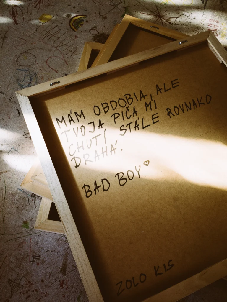 Bad Boy by Zolo Kis — back of the panel with handwritten text and the Bad Boy title